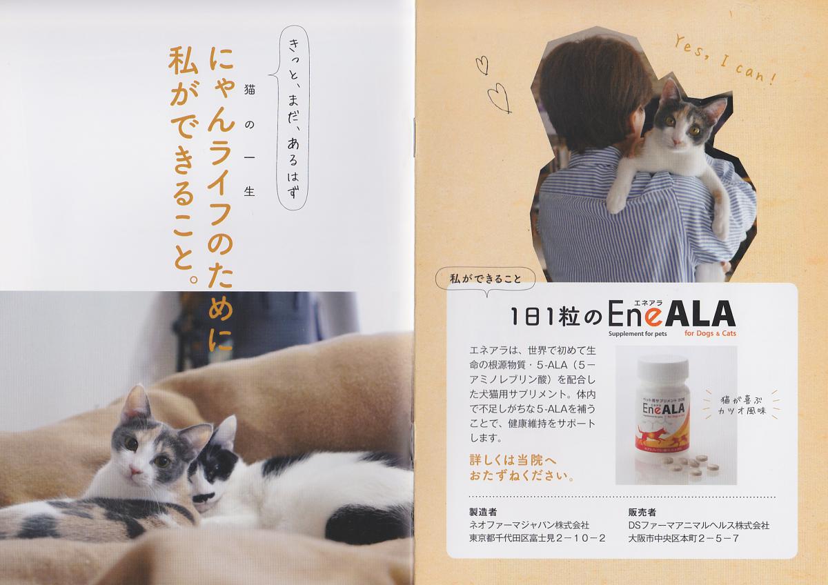 1829円 【ふるさと割】 モエギキャップ 犬猫用 100粒
